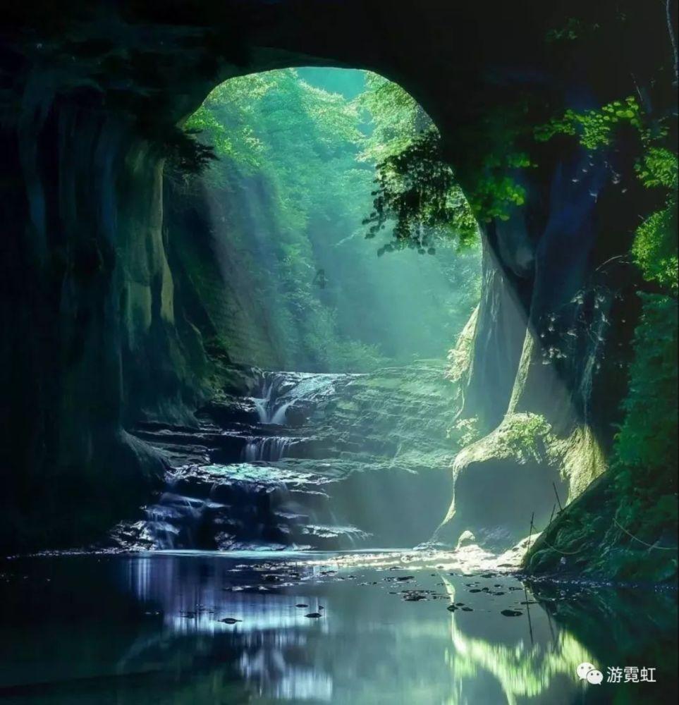 忍者鲨鱼