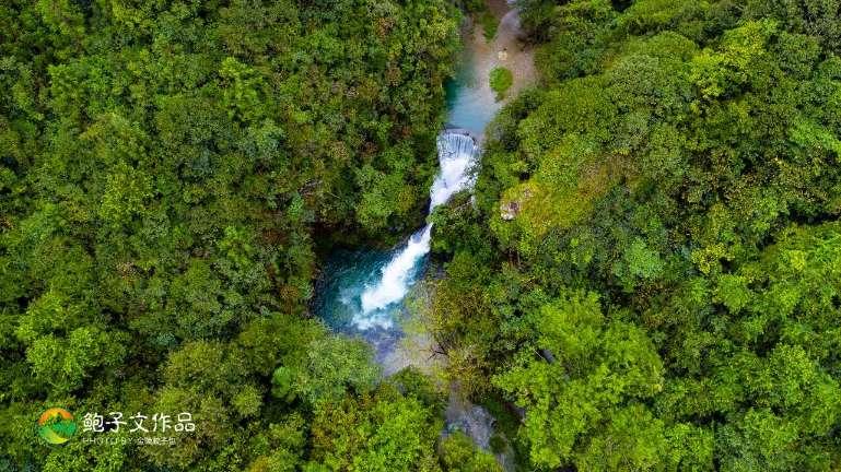 东营市东营区2024春节乡村文化旅游节正式启动