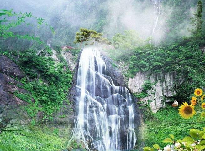 单颗种植牙从平均1.5万元降至6000元—7000元