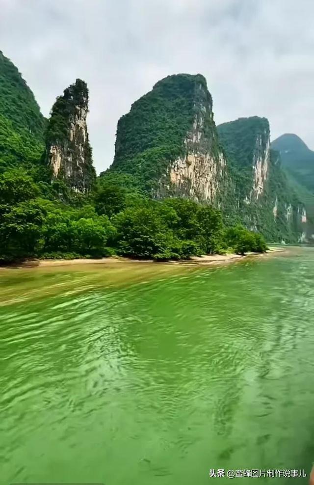 综艺节目中哪些明星的“出糗”瞬间，看完让人哭笑不得呢？