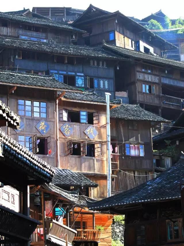 为“待客”东北虎崽供摸抱、遛丹顶鹤游街合规吗？两省林草局回应